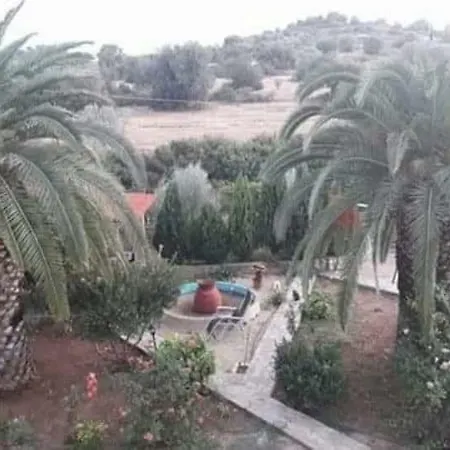 Vrodaki *